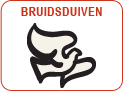 Trouwen en Bruidsduiven